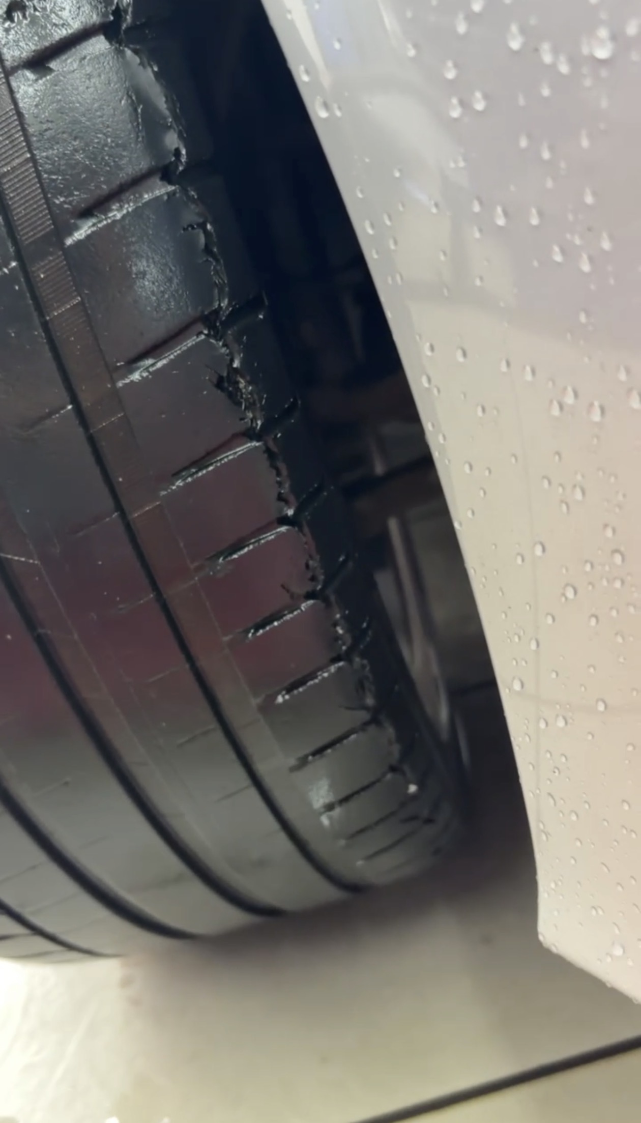 Michelin Pilot Sport 5