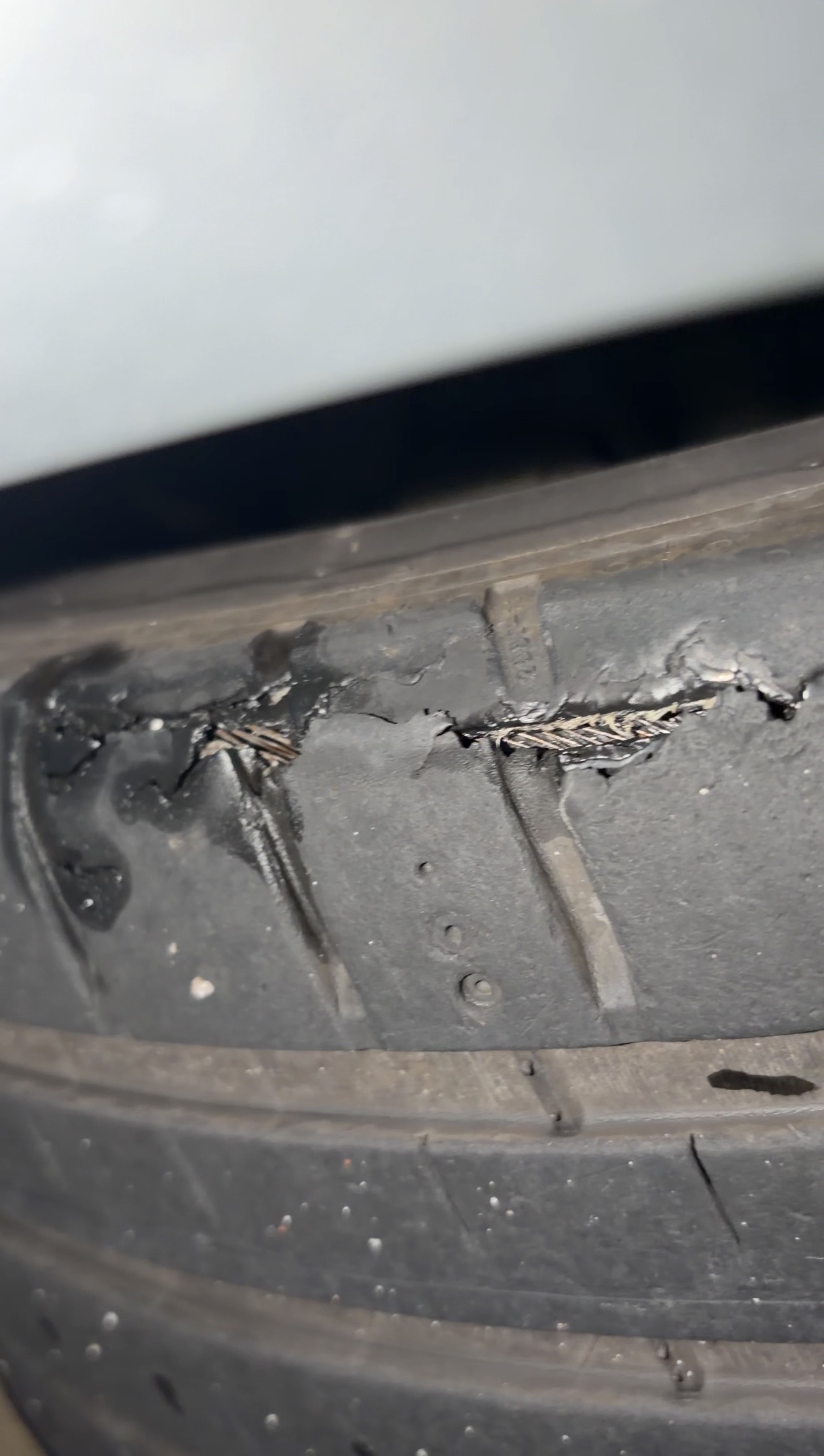 Michelin Pilot Sport 5
