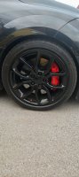Bridgestone Potenza Sport Evo - Benutzerbild