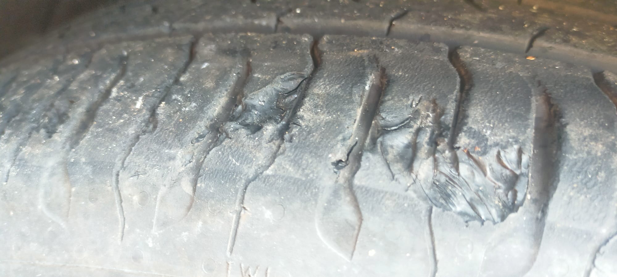 Continental EcoContact 6