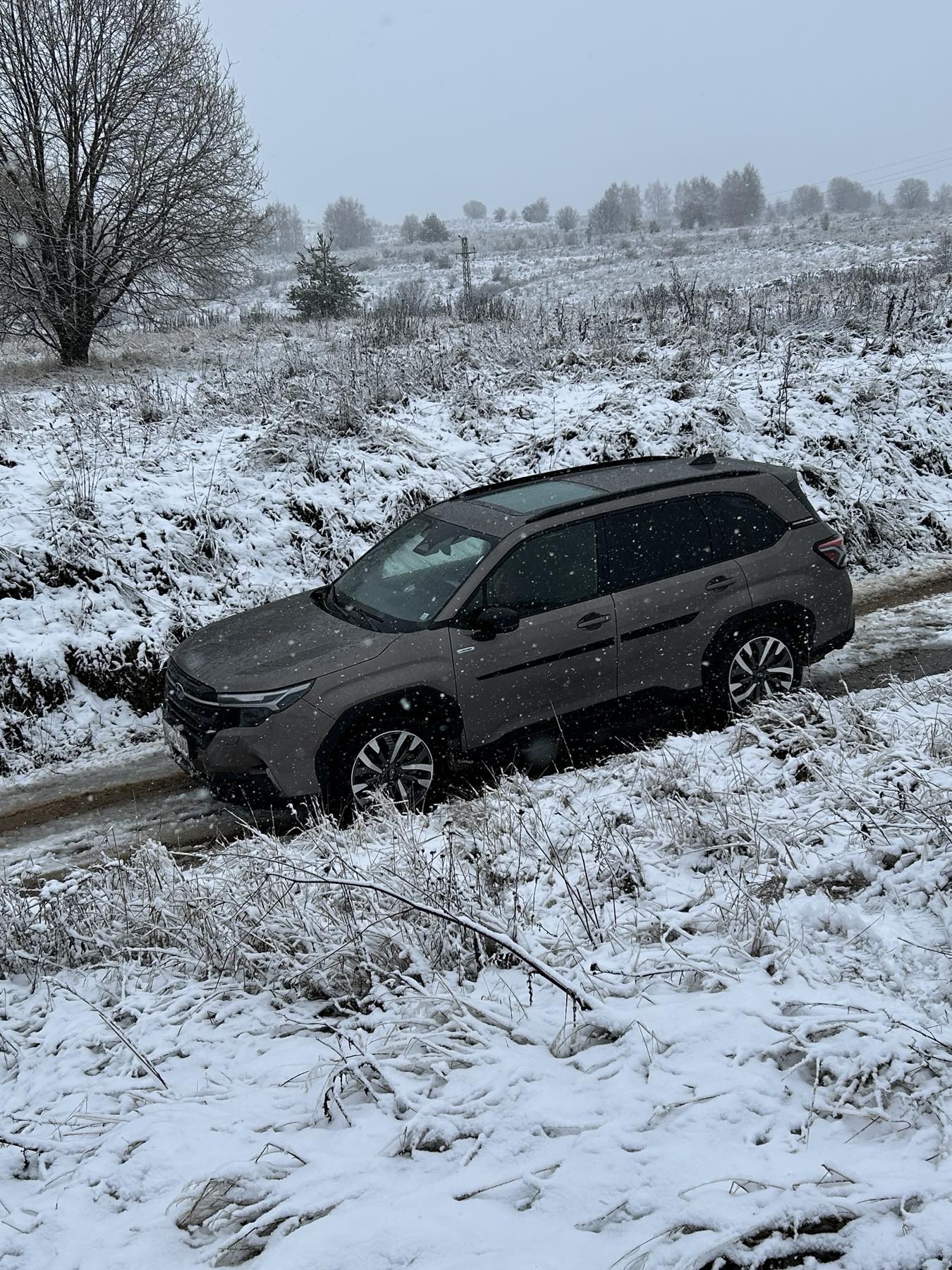 Pirelli Cinturato All Season SF3