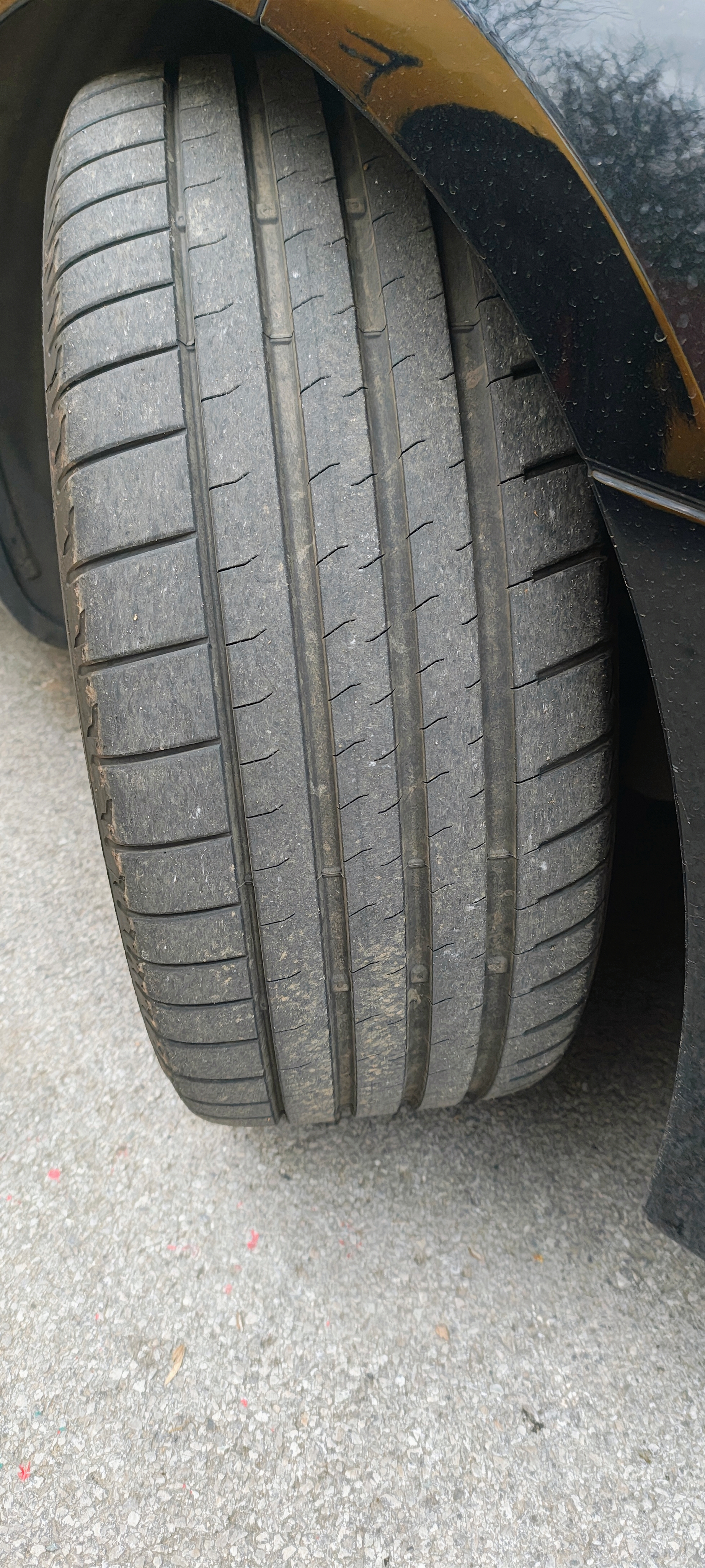 Bridgestone Potenza Sport Evo