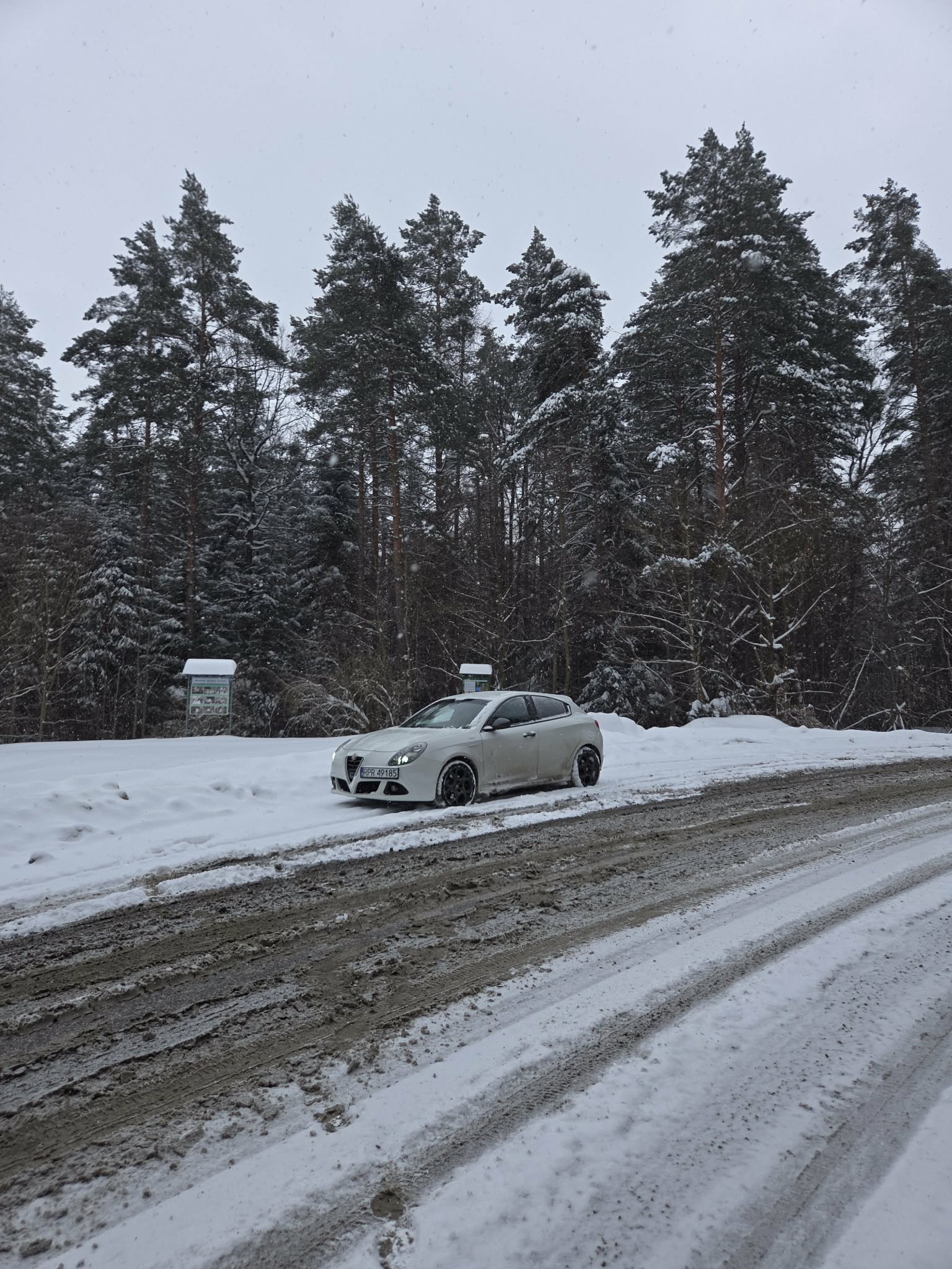 Pirelli Cinturato All Season SF3