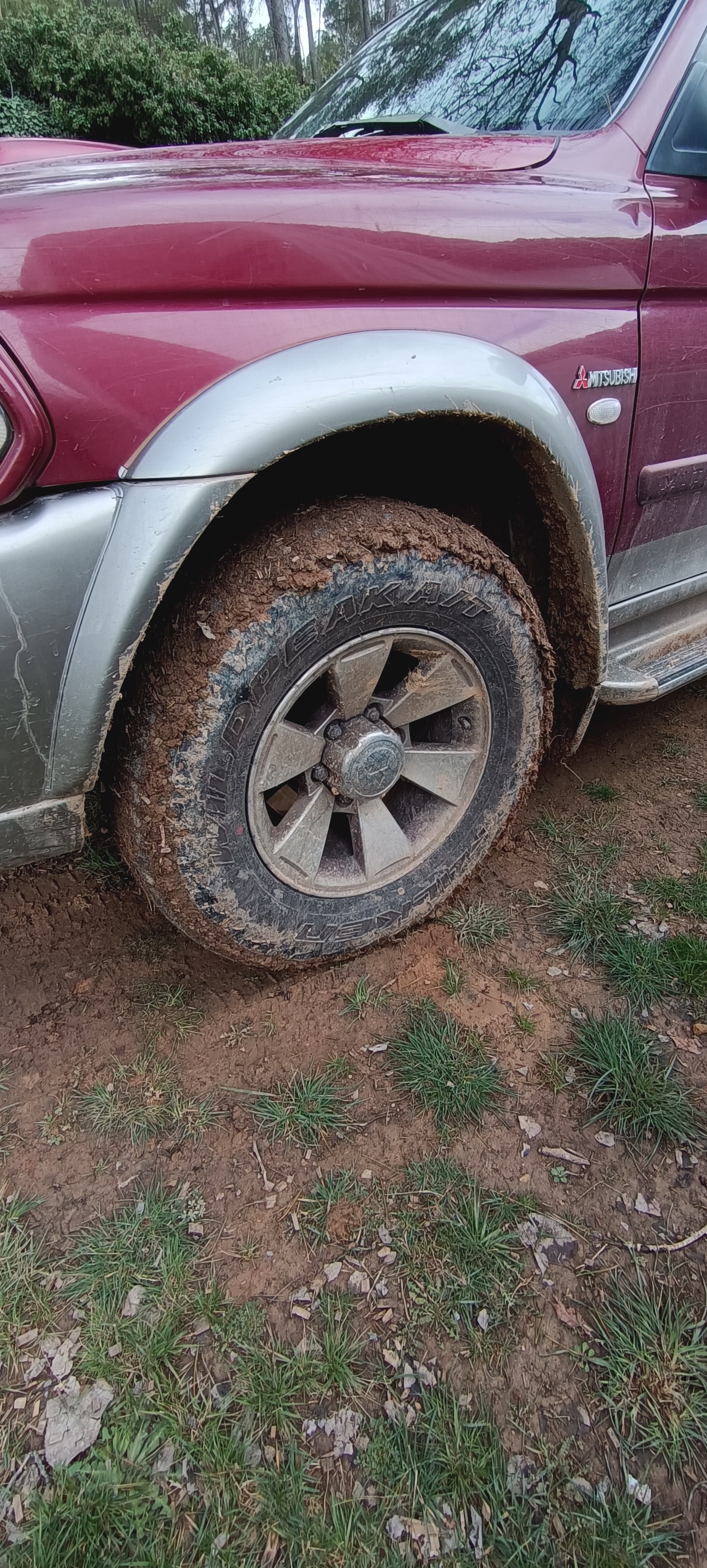 Falken Wildpeak AT3W