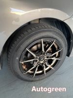 Autogreen Smart Chaser SC1: Foto eines Besitzers