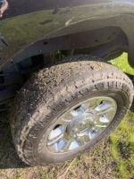 Bridgestone Dueler AT Ascent : photo d'un propriétaire