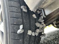 Hankook Ventus Prime 4: foto de un propietario