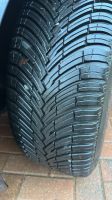 Pirelli Cinturato All Season SF3 owner photo