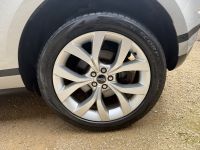 Pirelli Scorpion Zero All Season: Foto eines Besitzers