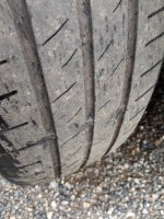 Roadstone Eurovis Sport 04 image