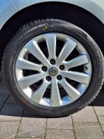 Maxxis Premitra All Season AP3 image