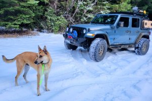 Mickey Thompson Baja Boss AT additional image