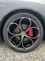 Pirelli P Zero Winter 2 image