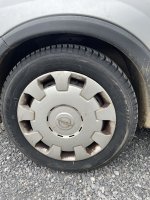 Toyo Celsius AS2 additional image