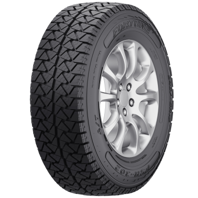 Fortune FSR302