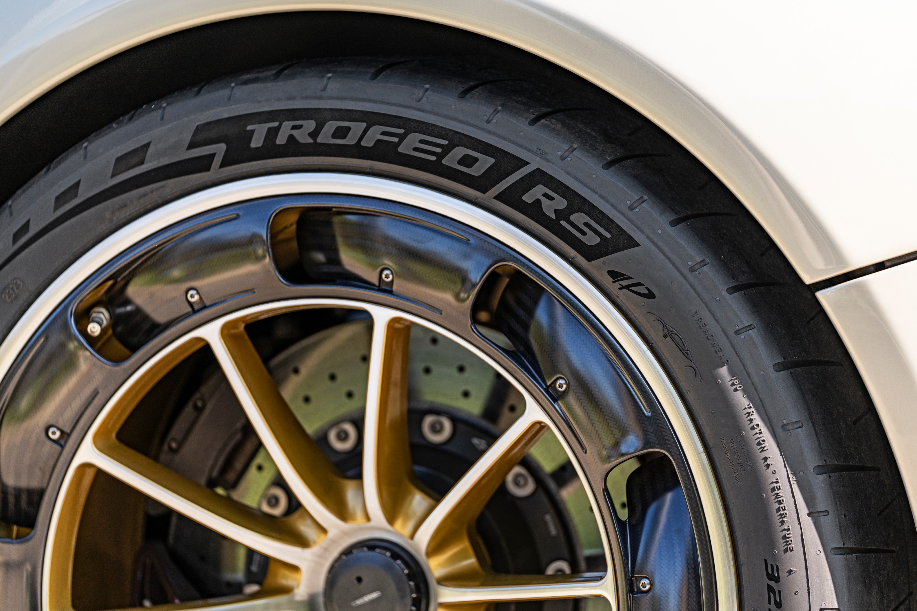 Pirelli P Zero Trofeo RS