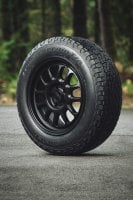 BFGoodrich Trail-Terrain T/A+ tyre