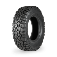 Insa Turbo Risko - Official Image
