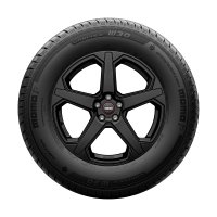 Momo Van Pole W30