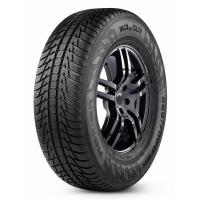 Nokian WR G3