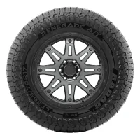 Radar Renegade A/T sidewall view
